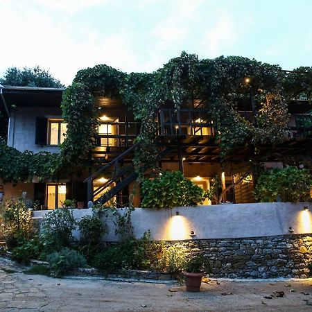 Ghermaniko Guesthouse Дамухарі Екстер'єр фото